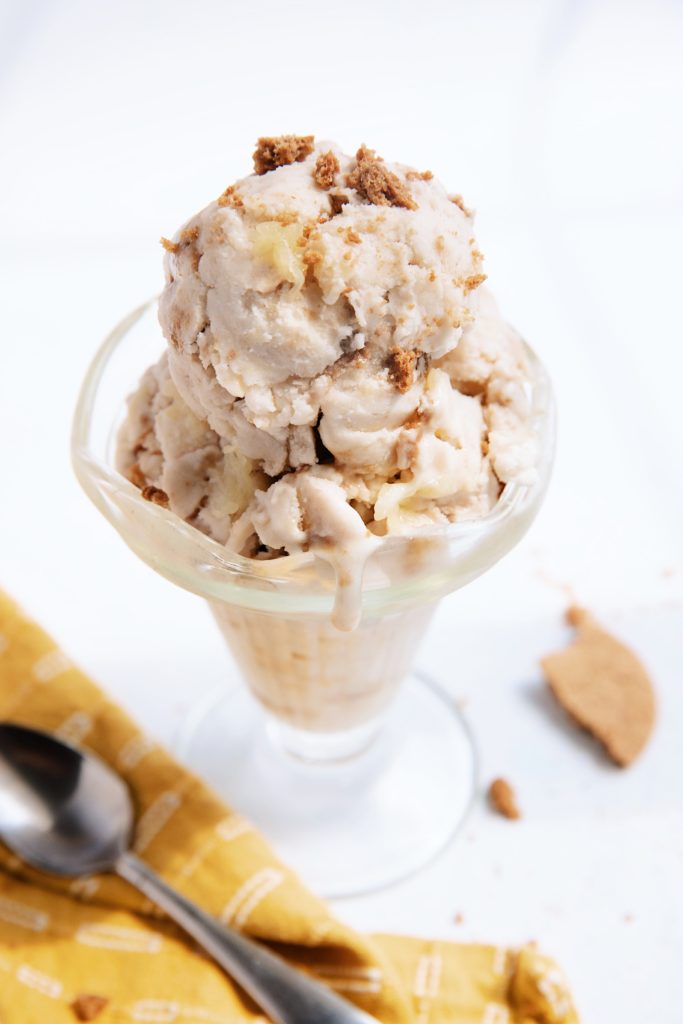 pineapple-ginger-snap-ice-cream_hot-for-food