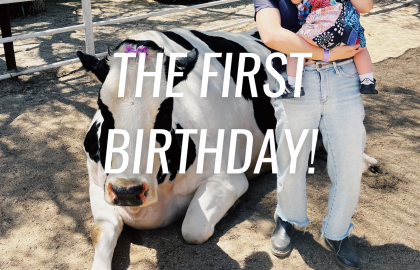 the first birthday cover